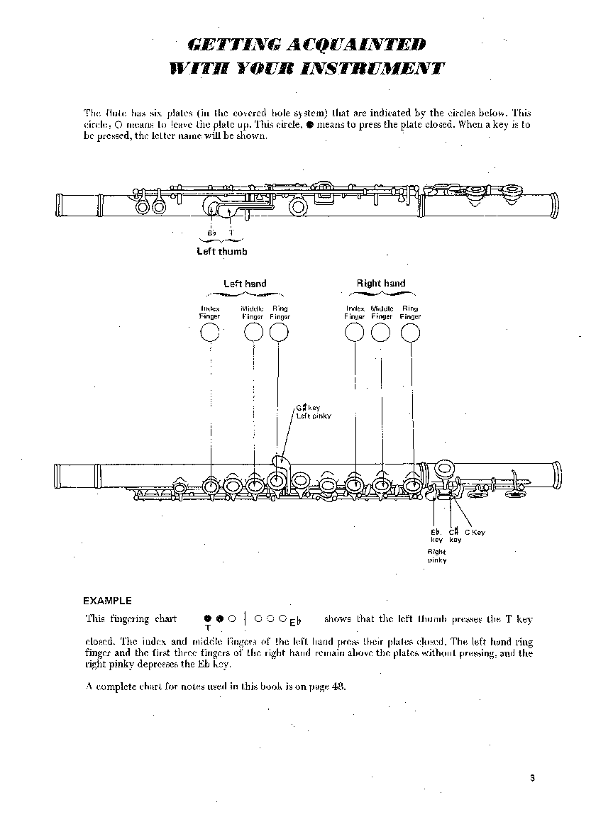 LEARN TO PLAY FLUTE #1