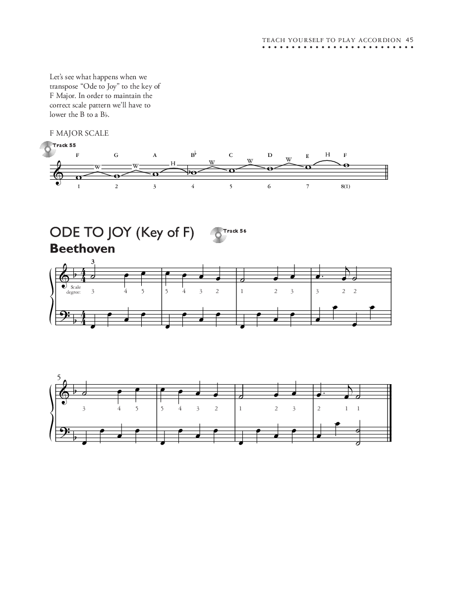 Teach Yourself to Play Accordion BK/DVD with Online Audio Access