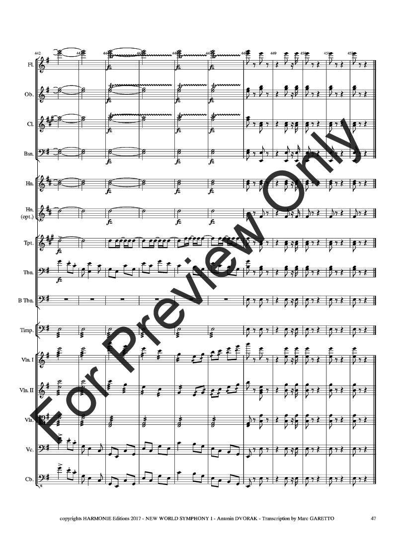 New World Symphony - 1st Movement - Full Orchestra P.O.D.