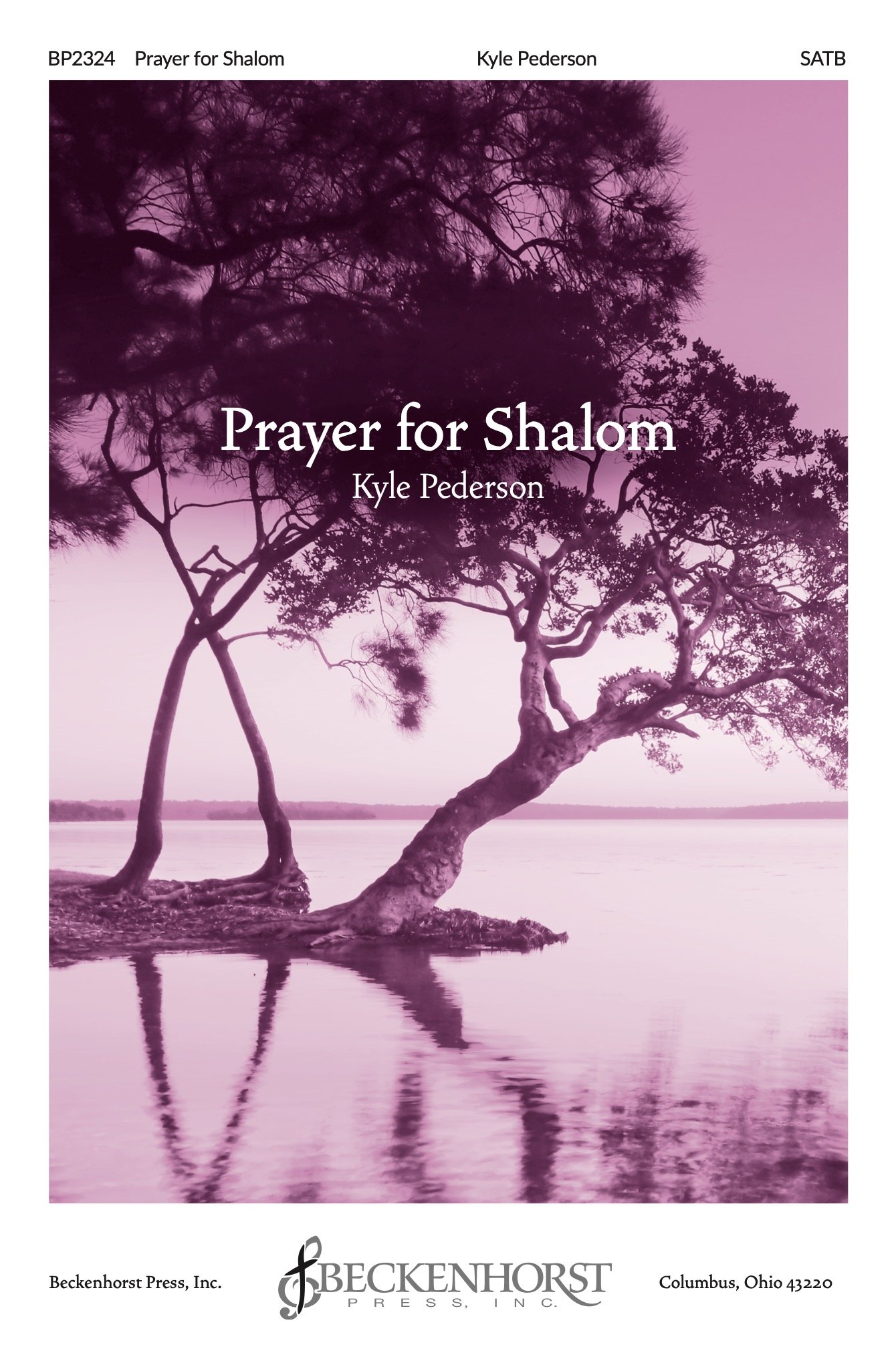 Prayer for Shalom