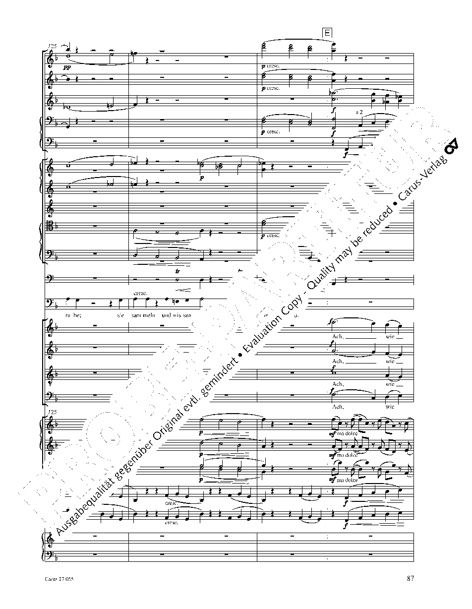 GERMAN REQUIEM Import FULL SCORE