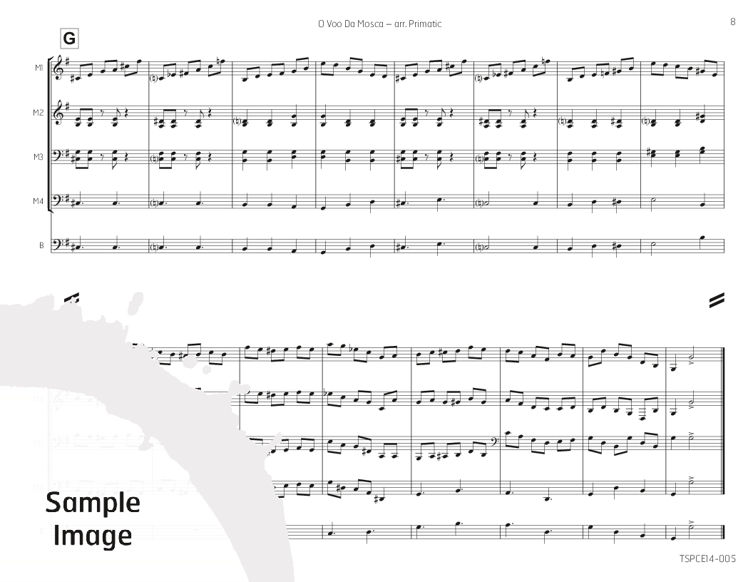 O Voo Da Mosca Marimba Quartet -P.O.P.