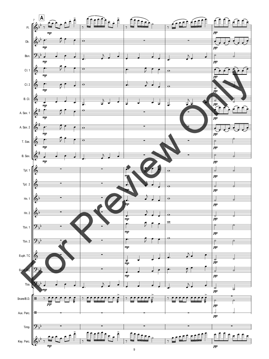 The Sight Reading Book for Better Bands Score
