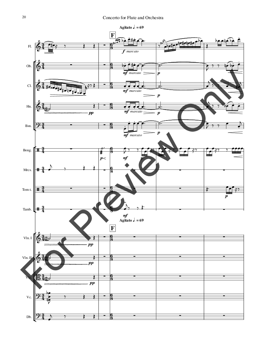 Concerto for Flute and Orchestra SCORE P.O.D.