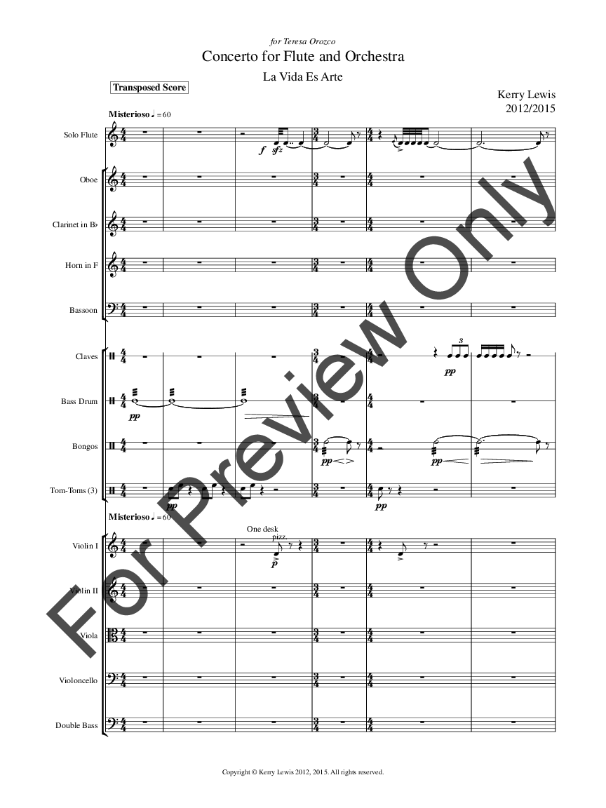 Concerto for Flute and Orchestra SCORE P.O.D.