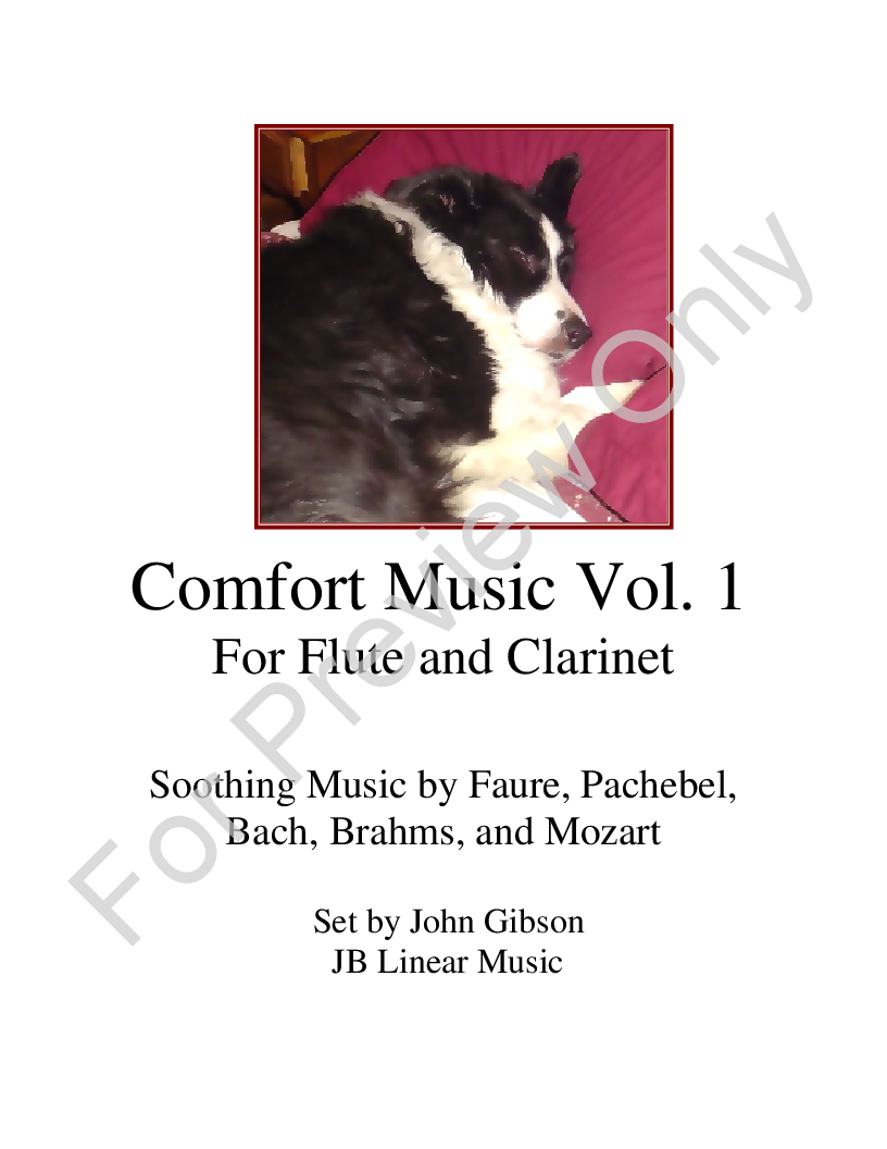 Comfort Music for Flute and Clarinet P.O.D.