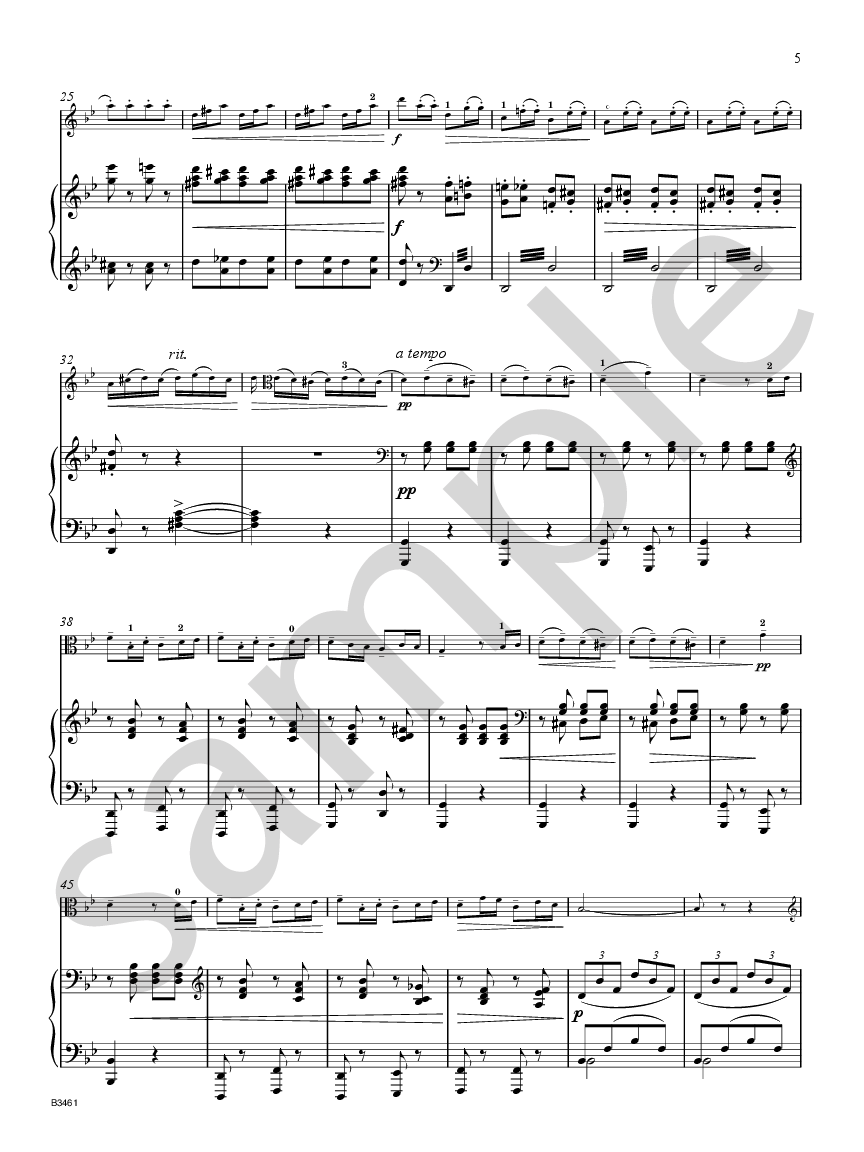 Rondo in G minor, Op. 94 Viola and Piano