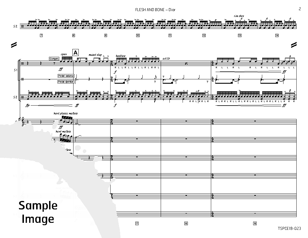 Flesh and Bone Percussion Ensemble