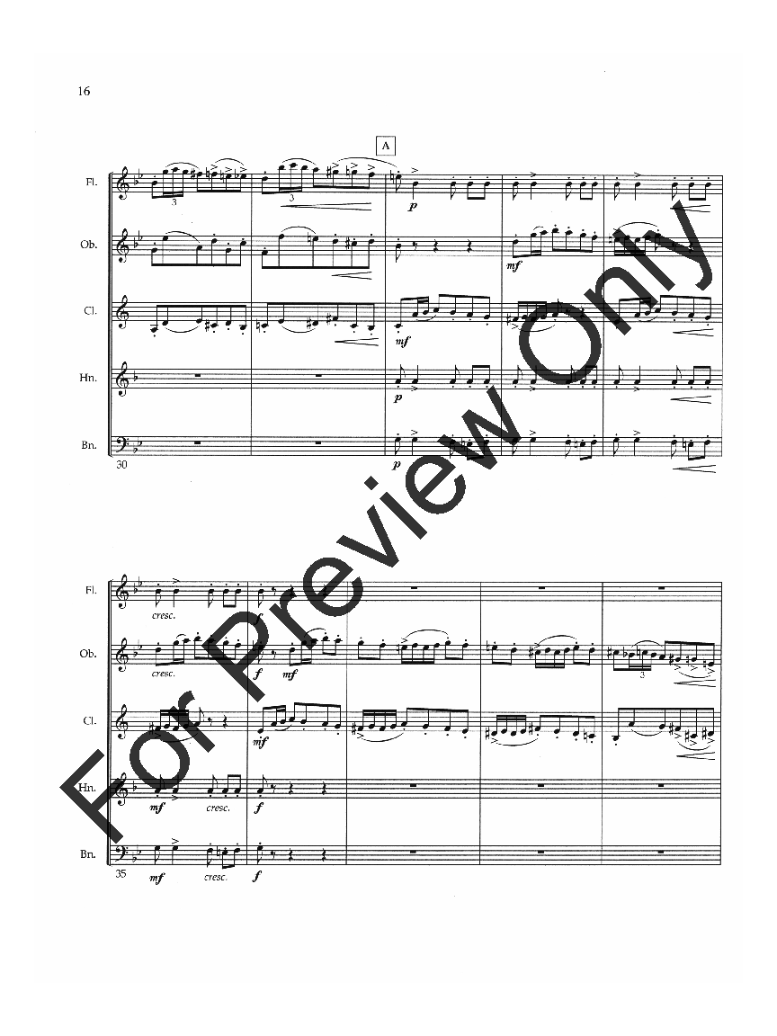 Two Pieces for Woodwind Quintet