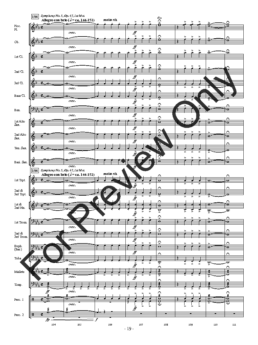 Spicher and Company Pattern 77 - Beethoven - 20 x 30