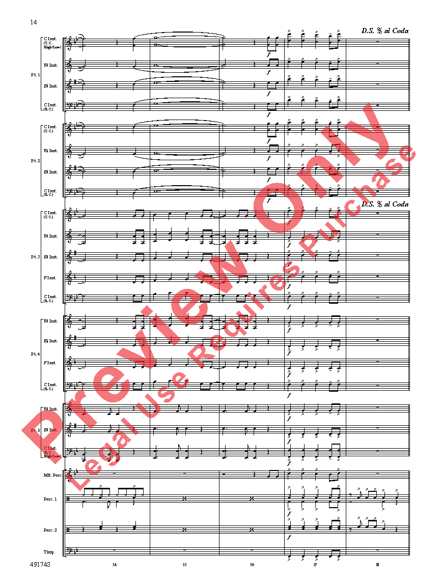 Danger Zone Flexible Band SCORE