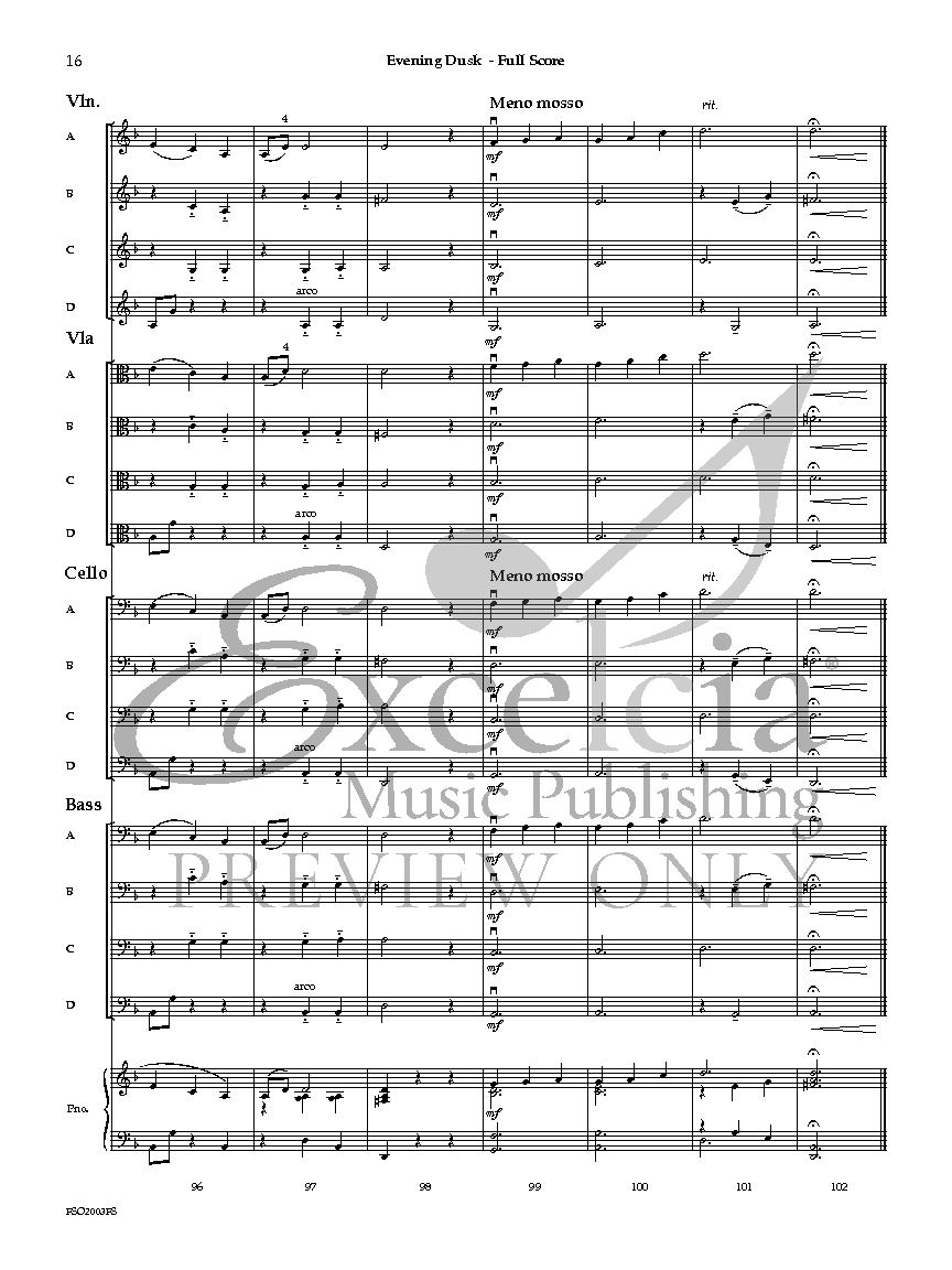 Evening Dusk Flexible String Orchestra