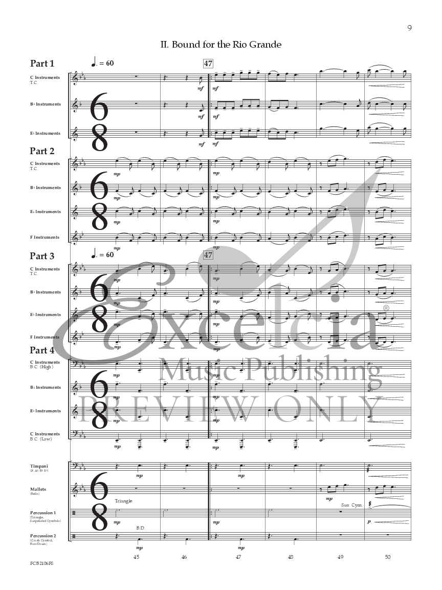 Sea Shanty Saga Flex Band P.O.D.