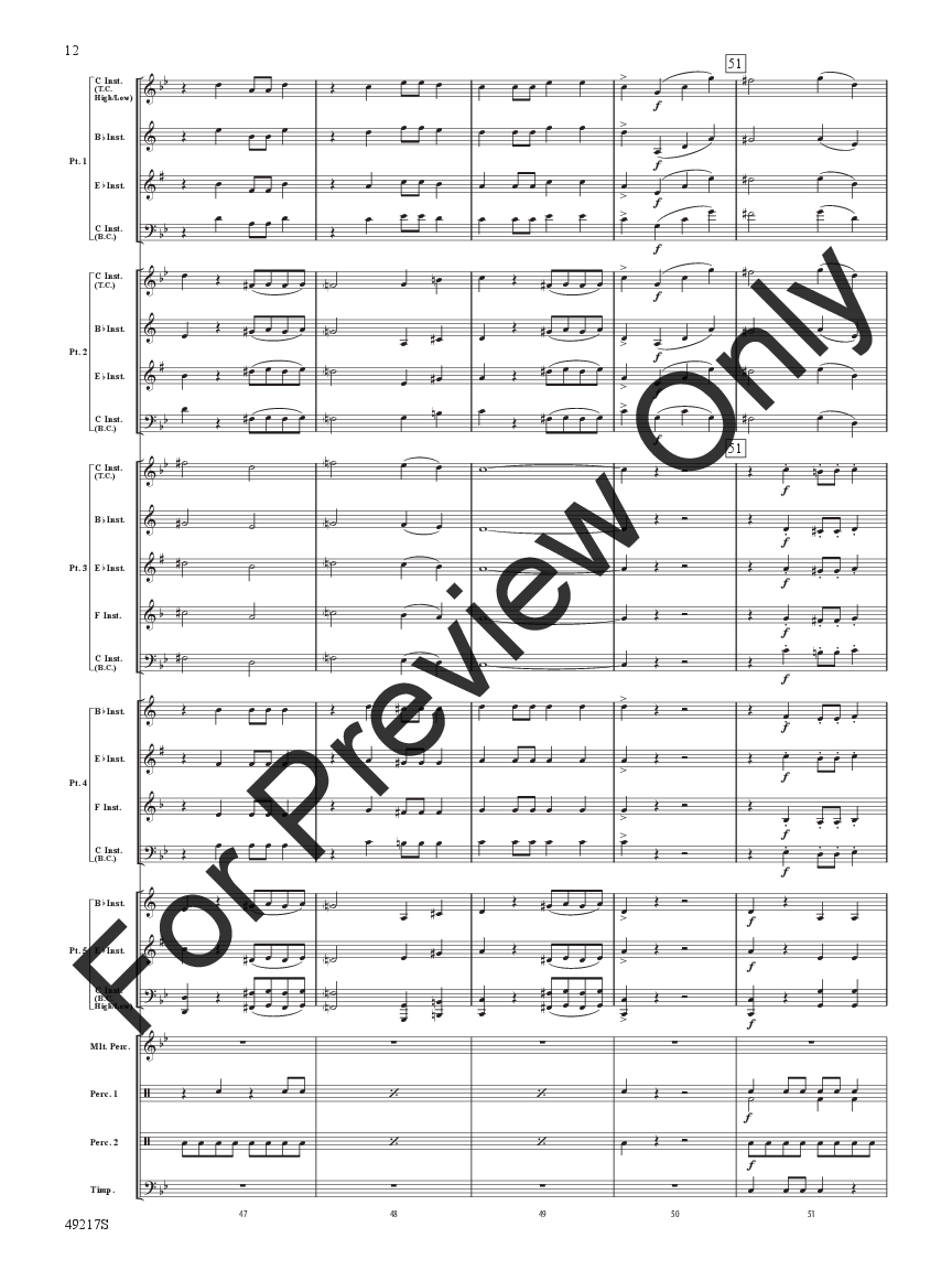 Dark Adventure Flexible Band SCORE