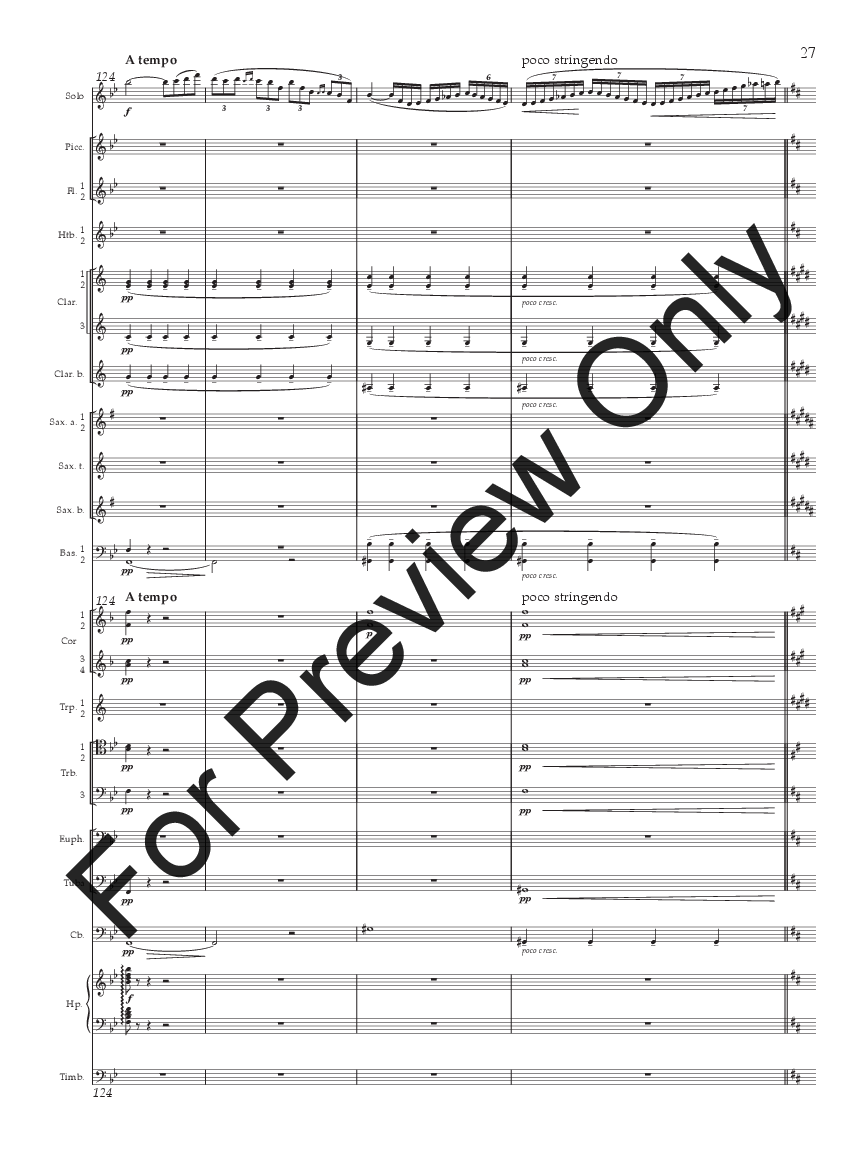 Concertino for Flute P.O.D.