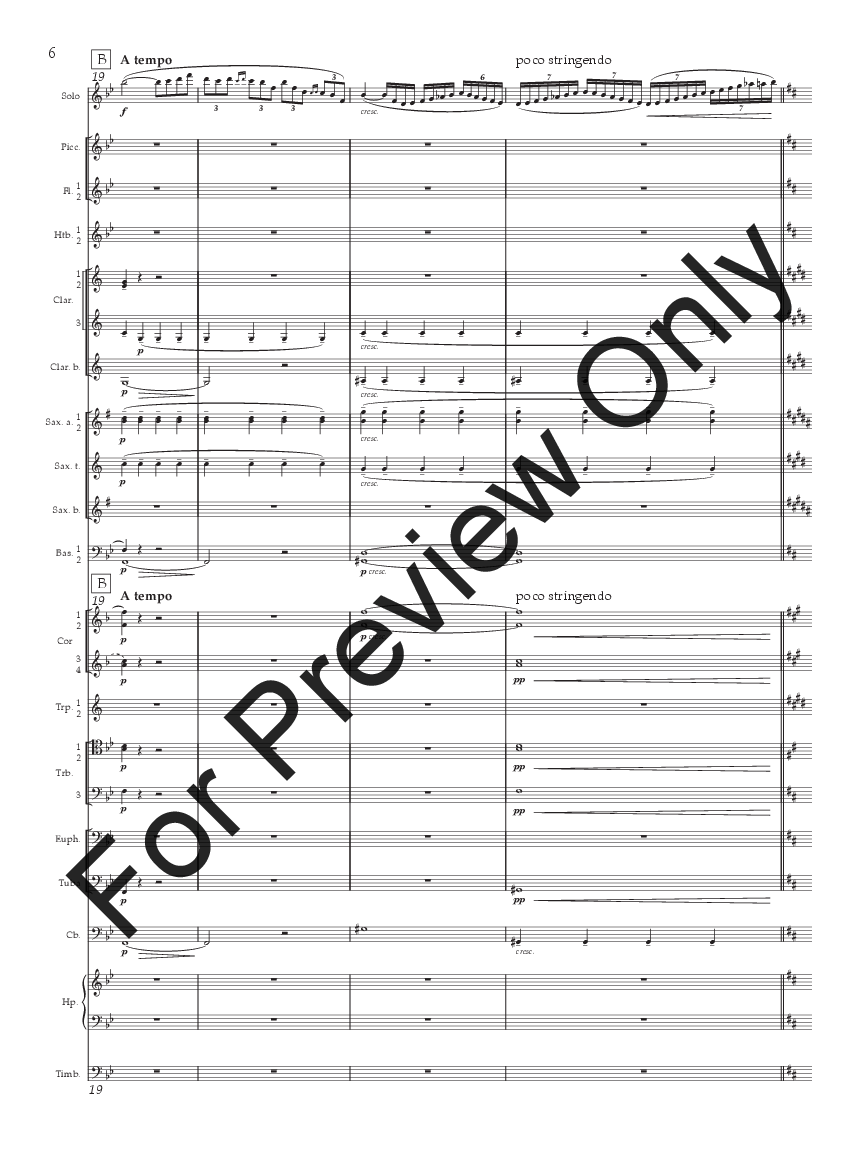 Concertino for Flute P.O.D.