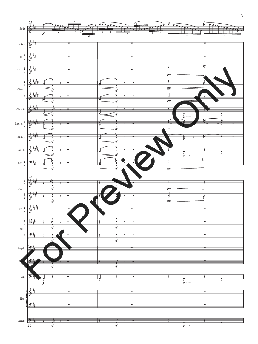 Concertino for Flute P.O.D.