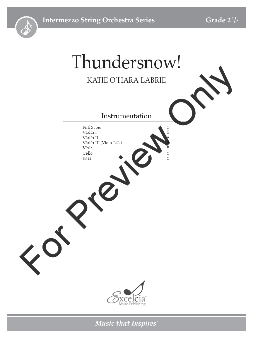 Thundersnow!