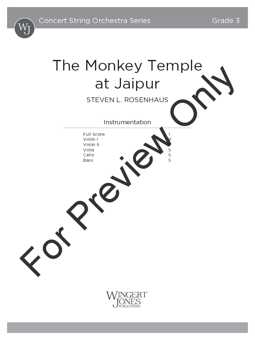 The Monkey Temple at Jaipur