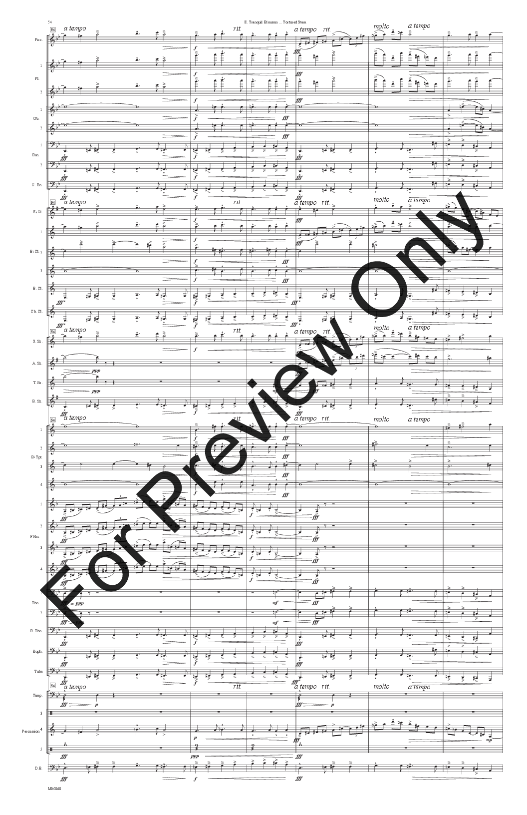 Symphony no. 2, Movement 2 P.O.D.