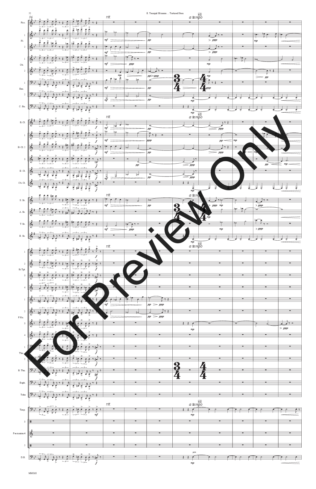 Symphony no. 2, Movement 2 P.O.D.