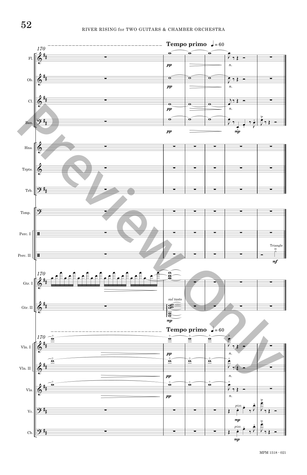 River Rising for Two Guitars and Chamber Orchestra P.O.D