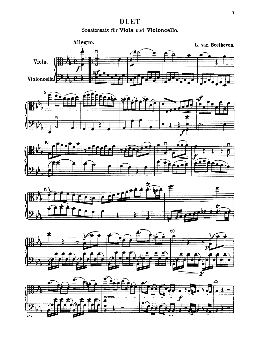 DUET FOR VIOLA AND CELLO