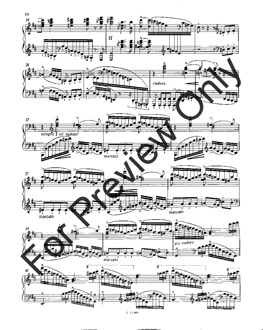 Sonata in B minor Piano Revised Edition